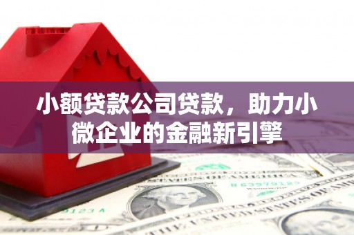 武清小额贷款公司贷款，助力小微企业的金融新引擎