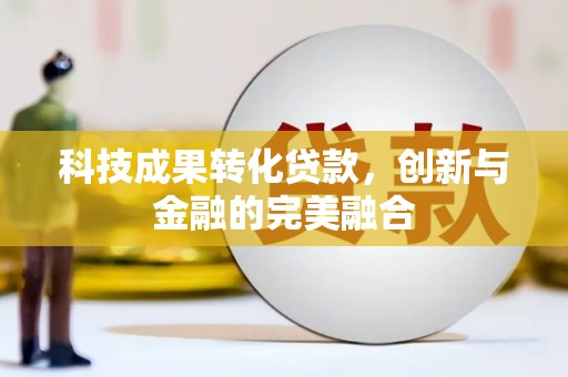 武清科技成果转化贷款，创新与金融的完美融合