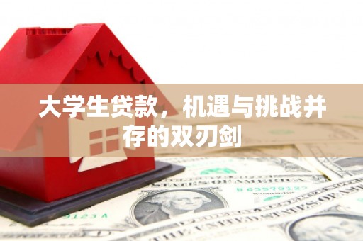 武清大学生贷款，机遇与挑战并存的双刃剑