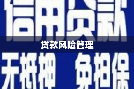武清贷款风险管理