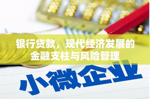 武清银行贷款，现代经济发展的金融支柱与风险管理