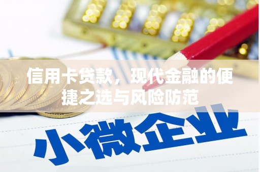 武清信用卡贷款，现代金融的便捷之选与风险防范
