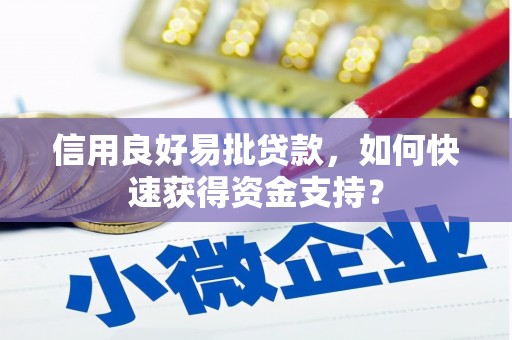 武清信用良好易批贷款，如何快速获得资金支持？