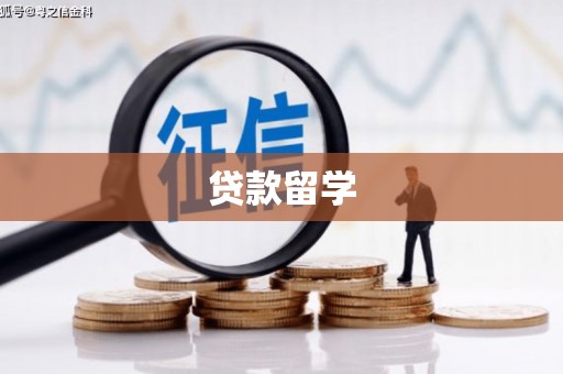 武清贷款留学