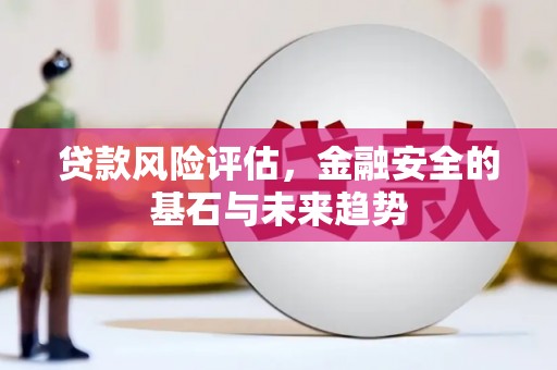 武清贷款风险评估，金融安全的基石与未来趋势