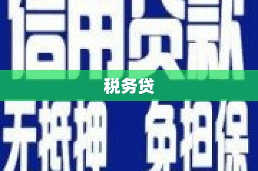 武清税务贷