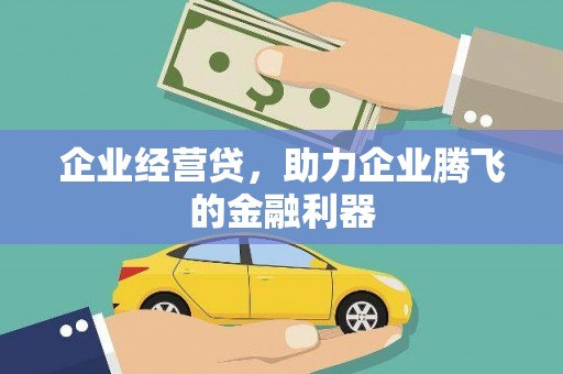 武清企业经营贷，助力企业腾飞的金融利器