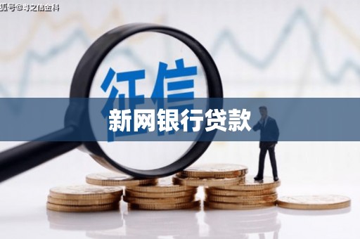 武清新网银行贷款
