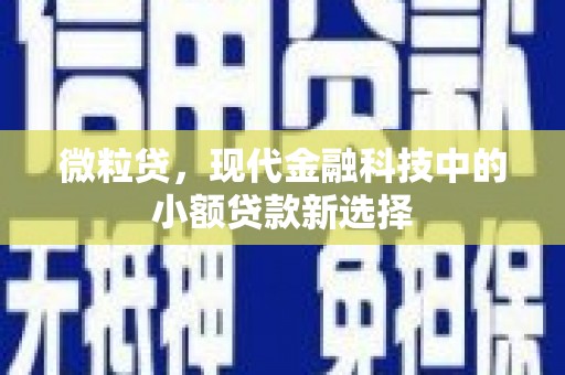 武清微粒贷，现代金融科技中的小额贷款新选择