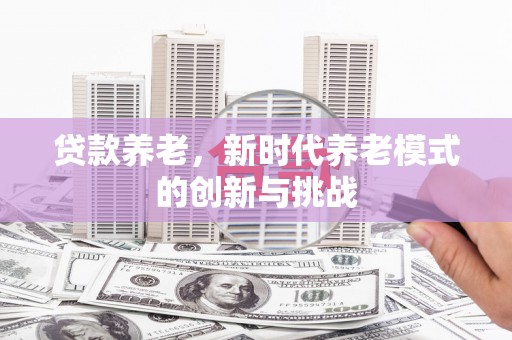 武清贷款养老，新时代养老模式的创新与挑战
