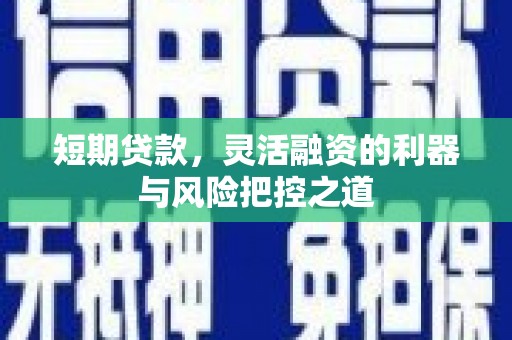 武清短期贷款，灵活融资的利器与风险把控之道