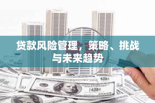 武清贷款风险管理，策略、挑战与未来趋势