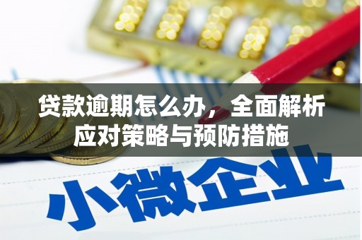 武清贷款逾期怎么办，全面解析应对策略与预防措施
