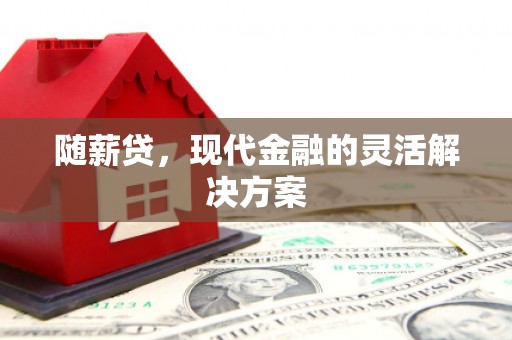 武清随薪贷，现代金融的灵活解决方案