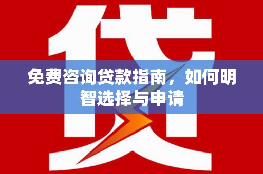 武清免费咨询贷款指南，如何明智选择与申请