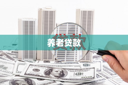 武清养老贷款