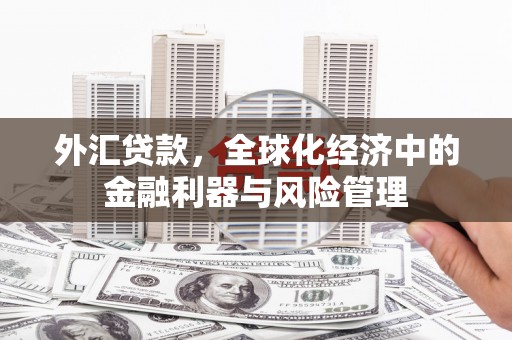 武清外汇贷款，全球化经济中的金融利器与风险管理