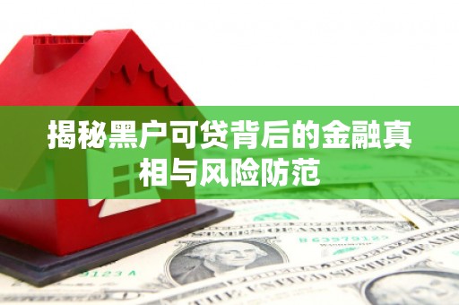 武清揭秘黑户可贷背后的金融真相与风险防范