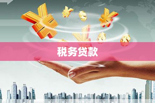 武清税务贷款