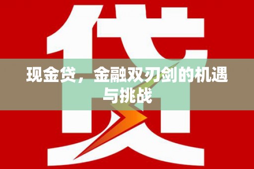 武清现金贷，金融双刃剑的机遇与挑战