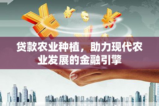 武清贷款农业种植，助力现代农业发展的金融引擎