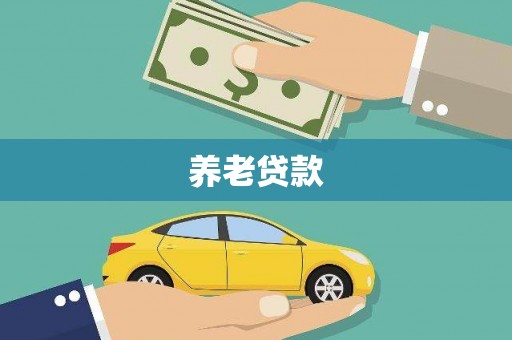 武清养老贷款