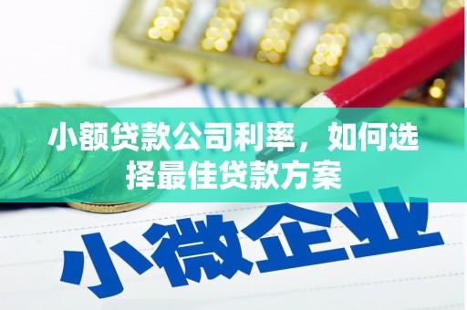 武清小额贷款公司利率，如何选择最佳贷款方案