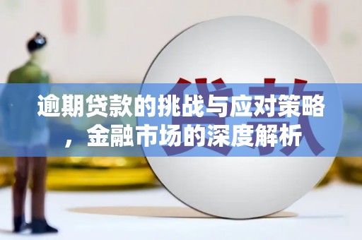 武清逾期贷款的挑战与应对策略，金融市场的深度解析