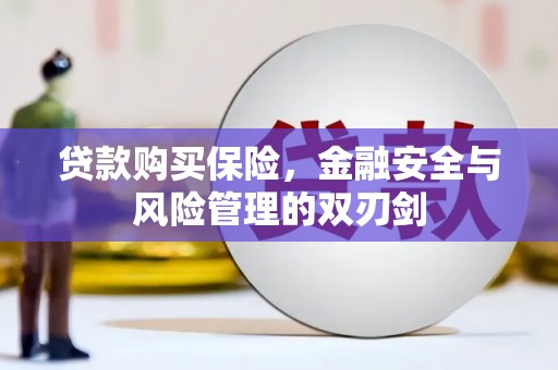 武清贷款购买保险，金融安全与风险管理的双刃剑