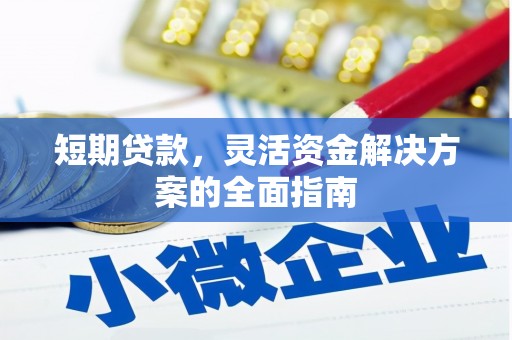 武清短期贷款，灵活资金解决方案的全面指南