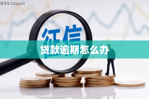 武清贷款逾期怎么办