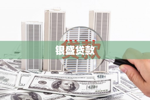 武清银盛贷款