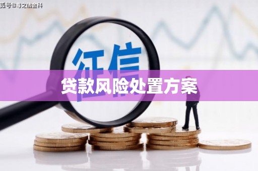 武清贷款风险处置方案