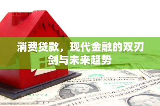 武清消费贷款，现代金融的双刃剑与未来趋势