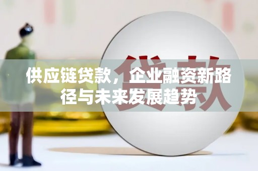 武清供应链贷款，企业融资新路径与未来发展趋势