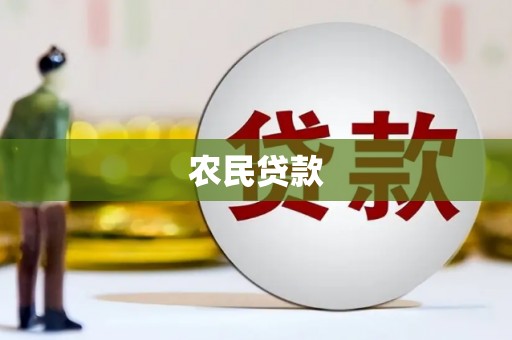 武清农民贷款