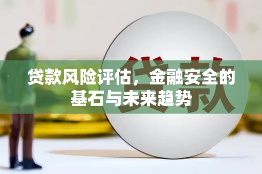 武清贷款风险评估，金融安全的基石与未来趋势
