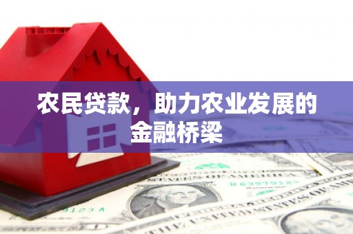 武清农民贷款，助力农业发展的金融桥梁