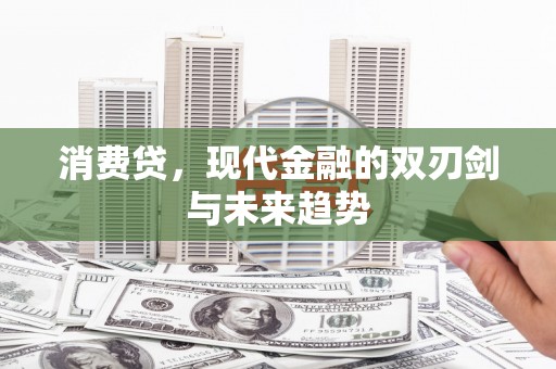 武清消费贷，现代金融的双刃剑与未来趋势