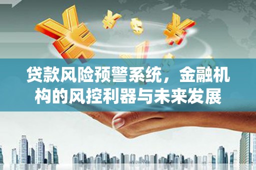 武清贷款风险预警系统，金融机构的风控利器与未来发展