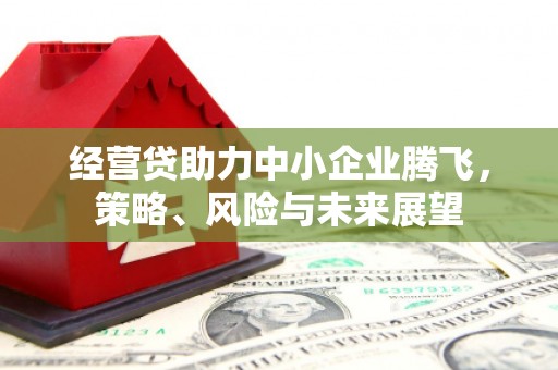 武清经营贷助力中小企业腾飞，策略、风险与未来展望