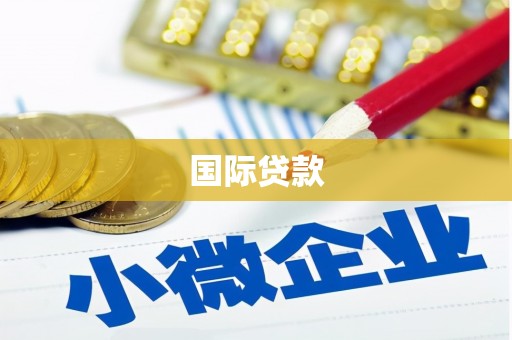 武清国际贷款