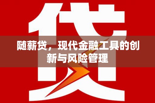 武清随薪贷，现代金融工具的创新与风险管理