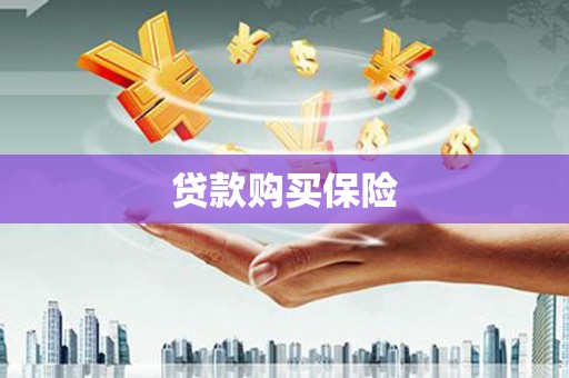 武清贷款购买保险