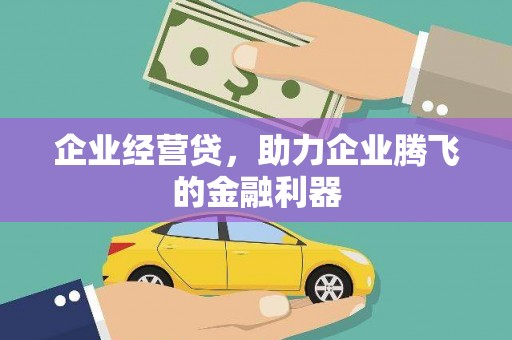 武清企业经营贷，助力企业腾飞的金融利器