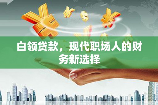 武清白领贷款，现代职场人的财务新选择