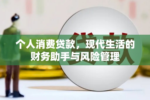 武清个人消费贷款，现代生活的财务助手与风险管理