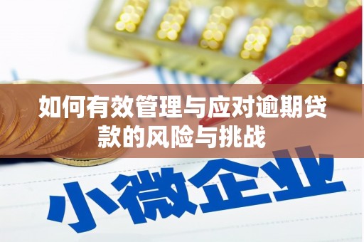 武清如何有效管理与应对逾期贷款的风险与挑战