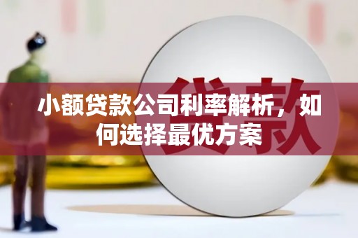 武清小额贷款公司利率解析，如何选择最优方案