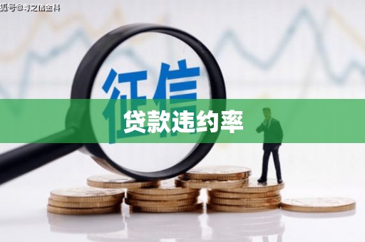 武清贷款违约率